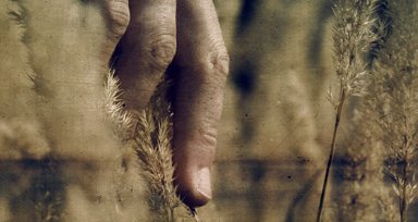 Martin Stranka